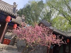 -晋祠公园
