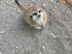 -水上乐园·欢乐世界