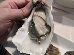 -Oyster Talks 四度蚝法餐厅