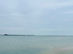 -北海金海湾红树林生态旅游区