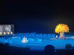 -鼎盛王朝康熙大典实景演出