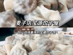 -宝源饺子(麦子店街店)