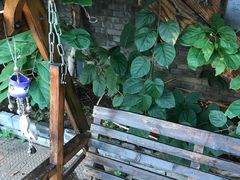 -慢丽江·云南野生菌土鸡锅(西山店)