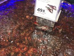 -盒马鲜生(枣园路店)