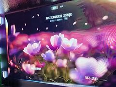 -鹏欣水游城