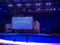 -华夏文旅海洋公园