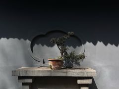 -成都杜甫草堂博物馆