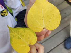 -紫金食坊(江南西路店)