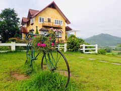 -黄色小屋