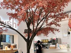 -艾薯夫妇Aysh(福田星河COCOPark店)