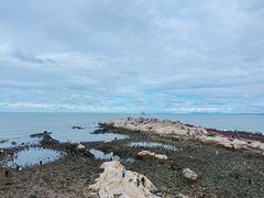 -养马岛旅游度假区
