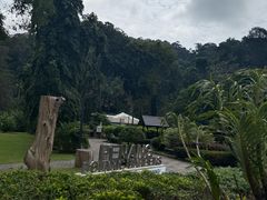 -槟城植物园