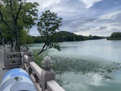 -长广溪湿地公园