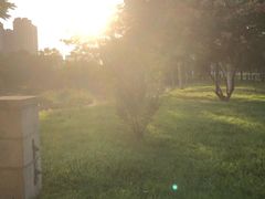 -深圳野生动物园