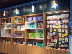 -飞览天下沉浸式飞行体验(北京旗舰店)