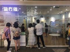 -猫冇咖·家门口的撸猫馆(大融城店)
