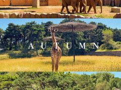 -沈阳森林动物园