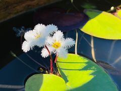-博鳌禅寺