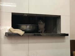 -舒蔡记生煎菜饭(云南中路店)
