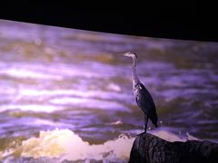 -奥斯卡西元国际影城(4K激光巨幕&杜比全景声沙发座椅)