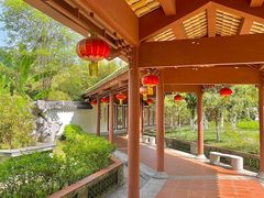 -广州神农草堂中医药博物馆