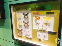 -上海昆虫博物馆