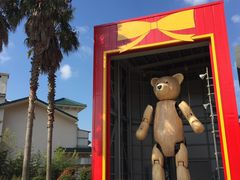 -济州岛泰迪熊博物馆