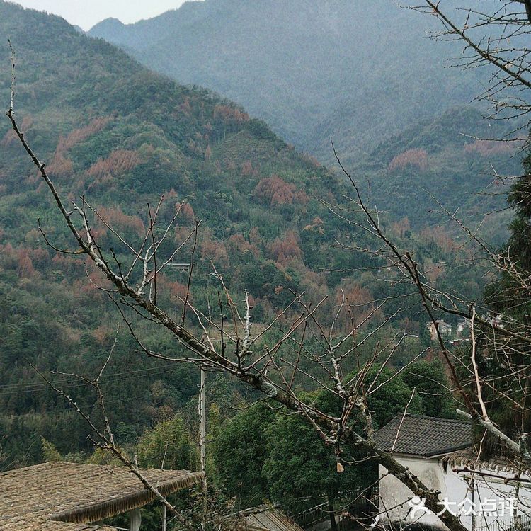 赵公山⛰️张家小院花园餐厅我爱了🔥！