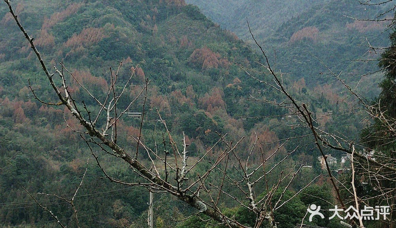 赵公山⛰️张家小院花园餐厅我爱了🔥！