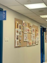 -杭州贝瑞斯美华妇儿医院·早孕·产检·儿科