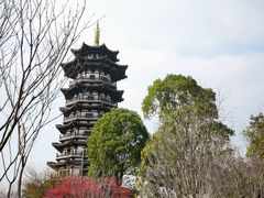 -洋湖国家湿地公园
