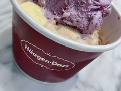 蓝莓单球-哈根达斯(武汉天地店)