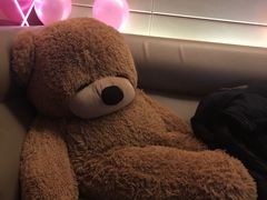 -真爱范特西KTV(交大店)