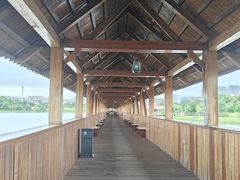 -九龙湖公园