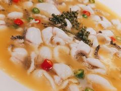 招牌青椒鱼-青花椒花椒鱼(合生汇店)