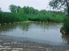 -绿堤公园