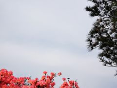 -木兰云雾山