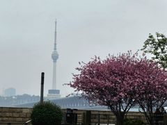 -小秋水饺(大成路总店)