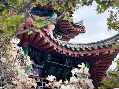-济南大明湖景区