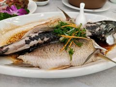 蒸鲩鱼-畔山酒店中餐厅