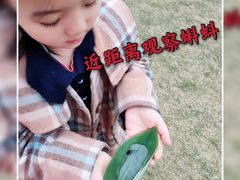 -沐仙湖湿地公园