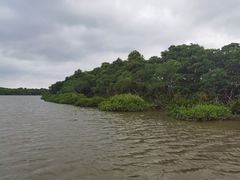 -东寨港红树林旅游区