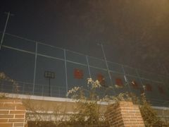 -山东省青岛第二中学(江西路分校)