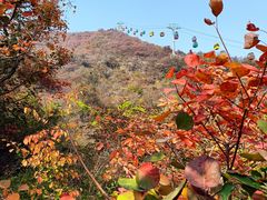-周口店坡峰岭风景区
