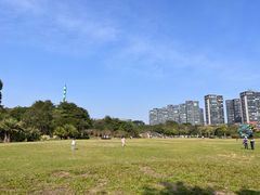 -顺峰山公园