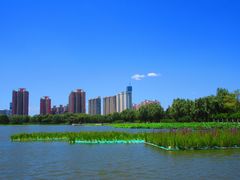 -莲花池公园