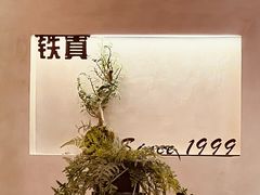 -铁真·刨冰红焖羊肉·正宗老字号