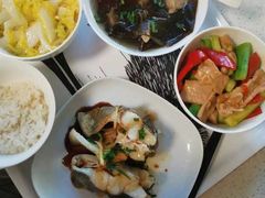 -上海雏渐肥月嫂