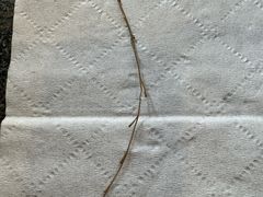 -春阳水饺(香槟广场店)