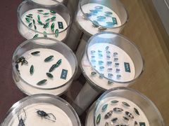 -陕西自然博物馆